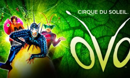 El Cabildo respalda al Circo del Sol en los valores de la biodiversidad en su espectáculo OVO (Las Palmas de Gran Canaria, 12-20 de agosto)