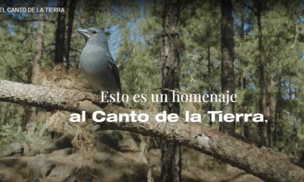 En el Día de la Tierra «maspalomasplus.com» les ofrece el vídeo «EL CANTO DE LA TIERRA».