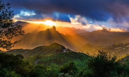 Gran Canaria se prepara para certificar en ecoturismo la Reserva de la Biosfera y el Paisaje Cultural de Risco Caído
