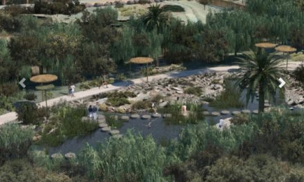 El Oasis Palmeral de Maspalomas se convertirá en un espacio natural, paisajístico y atractivo