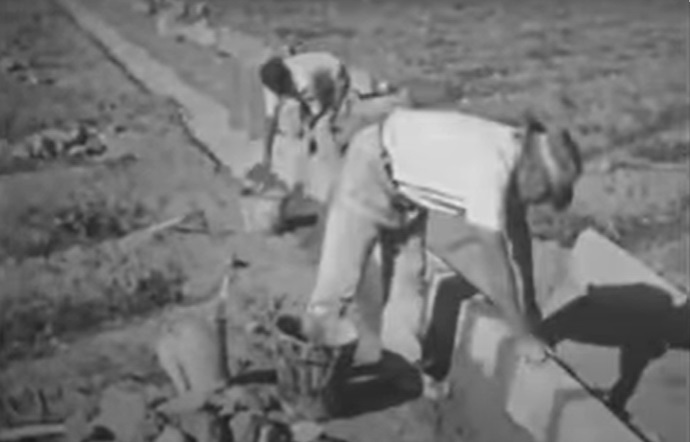 Video de Maspalomas de los años 60