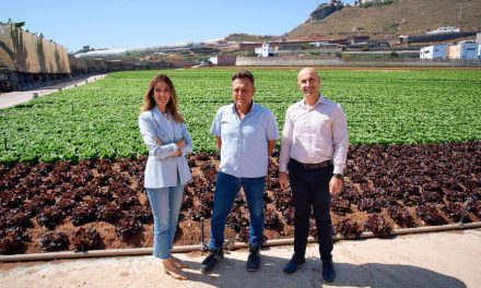 Hiperdino comercializa cada año más de 24 millones de kilos de frutas y verdura de Canarias