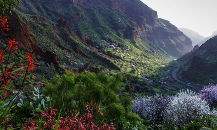 La Fotografía: Una inmensidad de colores en Gran Canaria