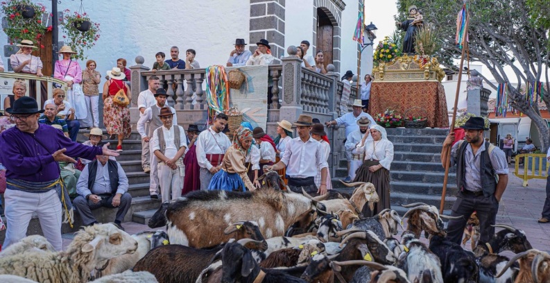 Jolgorio y tradición en la Romería-Ofrenda a San Antonio El Chico