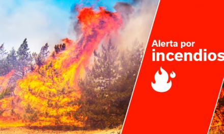 El Cabildo declara la alerta por riesgo de incendios forestales en Gran Canaria