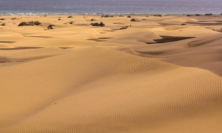 ImpulsaMaspalomas defiende la restauración ambiental de la Reserva de las dunas y la modernización del destino