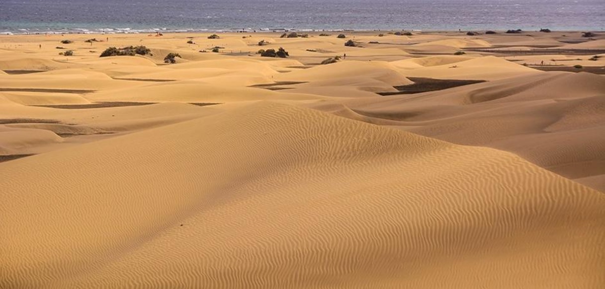 ImpulsaMaspalomas defiende la restauración ambiental de la Reserva de las dunas y la modernización del destino