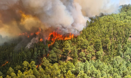 El incendio de Tenerife evoluciona favorablemente hacia su extinción