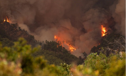 El incendio de Tenerife que avanza vorazmente, fue provocado