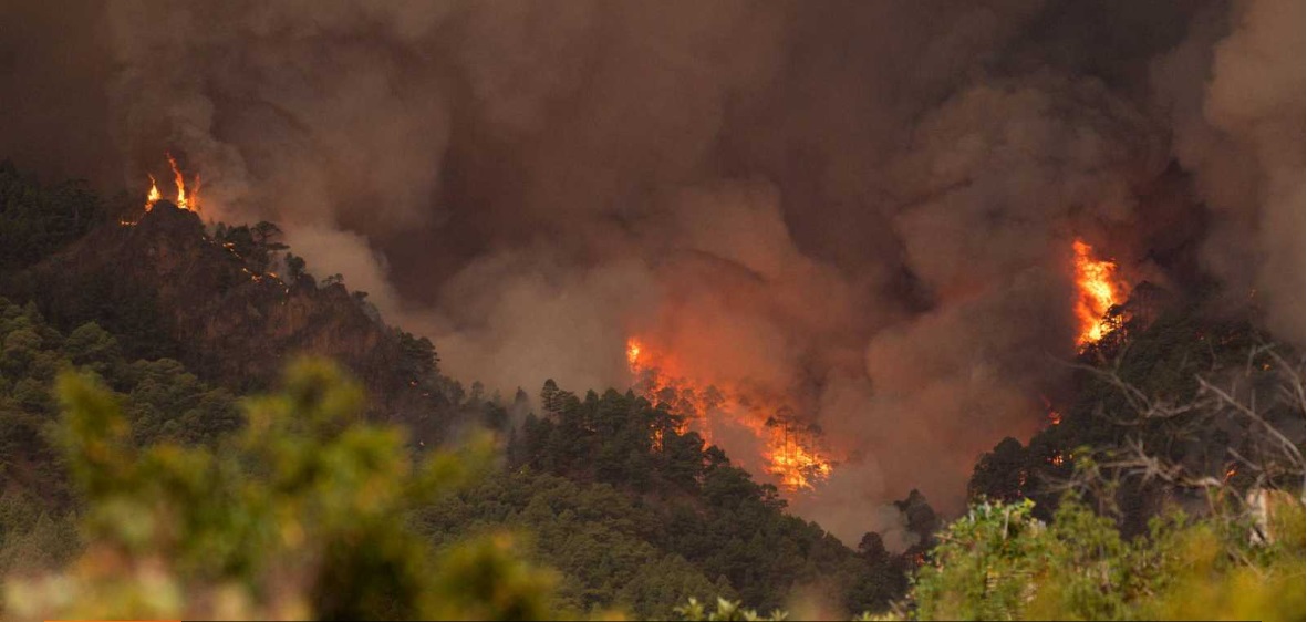 Dos equipos de bomberos de Gran Canaria se desplazan a Candelaria para luchar contra el incendio