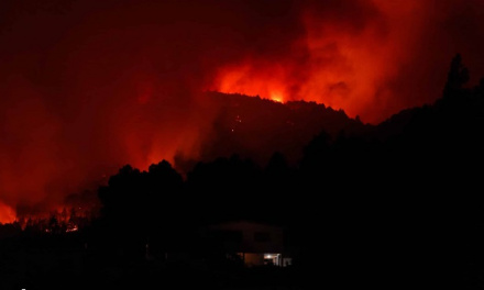 El incendio de Tenerife, provocado, ya ha arrasado 11.600 hectáreas y un perímetro de 84 kilómetros