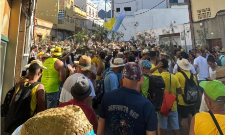 La Bajada de la Rama congrega en La Aldea de San Nicolás a miles de participantes