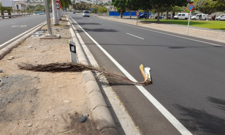 Otra gran rama de una palmera en el asfalto de la Avenida de la Unión Europea