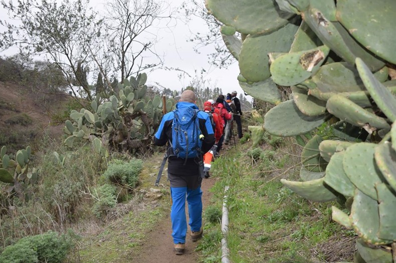«San Bartolomé Camina» prepara la caminata de Fontanales a Montaña Alta de Guía