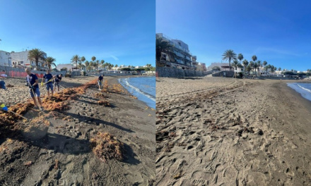 Mogán combate las macroalgas con continuas batidas de limpieza en sus playas