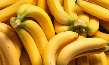 El método más sencillo y eficaz para que los plátanos no se pongan negros y aguanten más