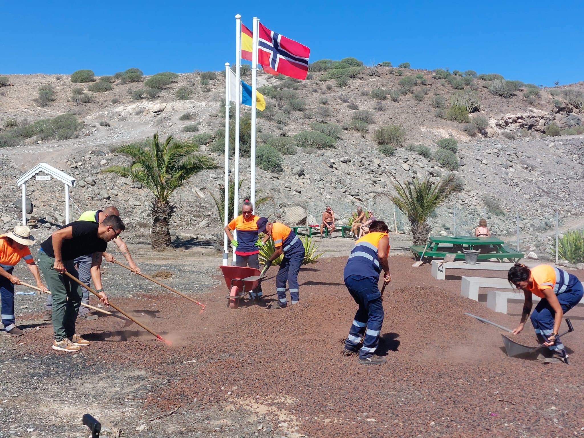 Acondicionamiento del Palmeral Noruego de Mogán