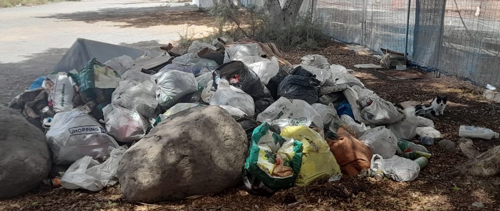 El Ayuntamiento elude actuar en temas complejos y conflictivos