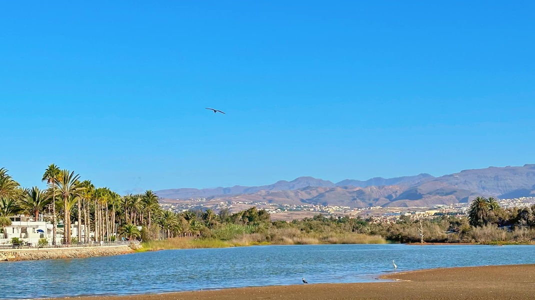La Alianza de Municipios Turísticos, entre ellos San Bartolomé de Tirajana, apuesta por el Turismo Azul