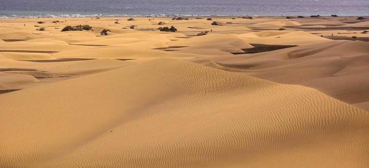 Coalición Canaria plantea el cobro por el acceso a las Dunas de Maspalomas