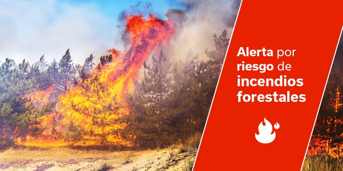 Temperaturas de 35º: Gran Canaria se mantiene en alerta máxima por riesgo de incendios