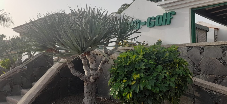 «maspalomasplus.com»: Lo peor de la semana: Los explotadores inmisericordes de las Explotadoras