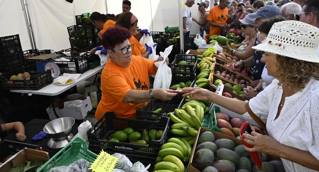 Gran celebración y éxito de la «VIII Feria del Mango y Aguacate de Verano» en Mogán