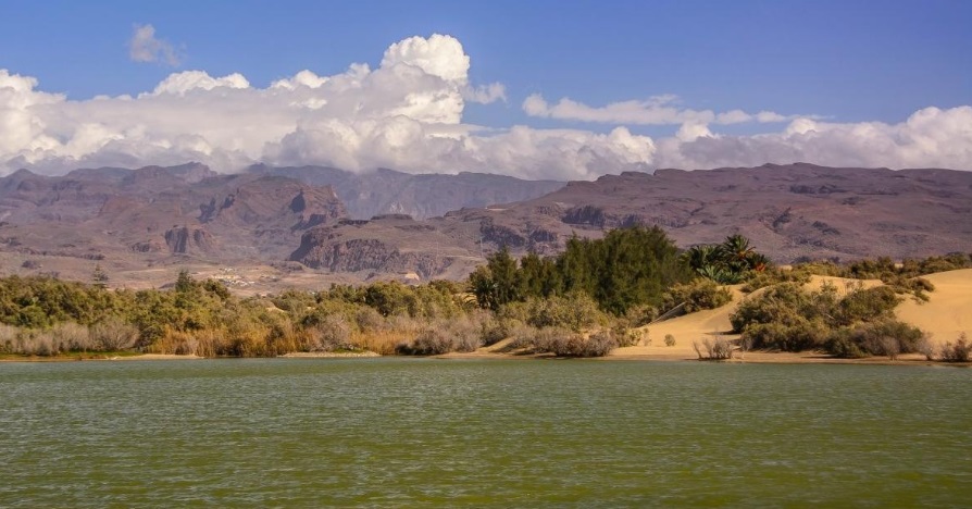 Maspalomas Gran Canaria impulsa un proyecto y mejorar la calidad del agua en el entorno de la Charca