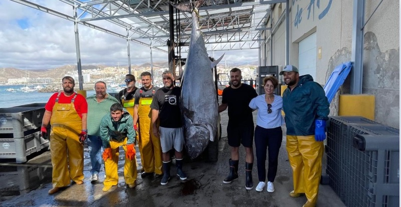 El 22 de noviembre la VIII Feria del Atún y el Mar de Mogán, con un ejemplar de 221 kilos